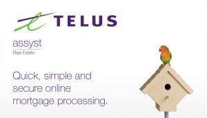 Telus Real Estate brand research.